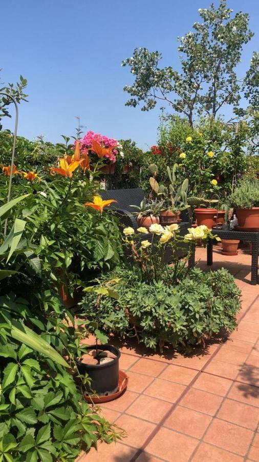 Il Giardino Sui Tetti Apartment โบโลญญา ภายนอก รูปภาพ